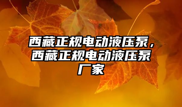 西藏正規(guī)電動液壓泵，西藏正規(guī)電動液壓泵廠家