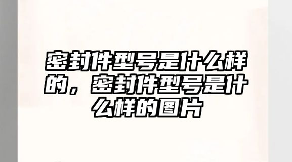 密封件型號是什么樣的，密封件型號是什么樣的圖片