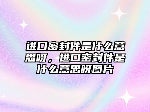 進(jìn)口密封件是什么意思呀，進(jìn)口密封件是什么意思呀圖片