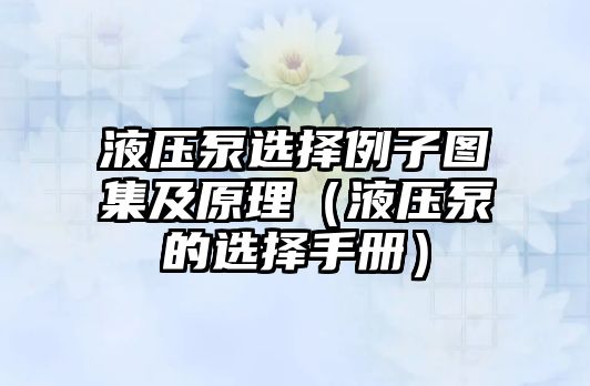 液壓泵選擇例子圖集及原理（液壓泵的選擇手冊(cè)）