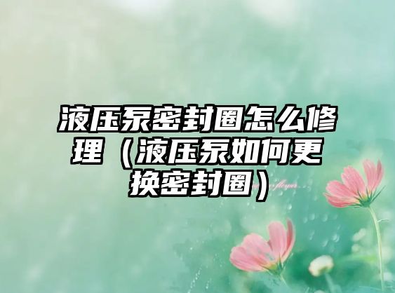 液壓泵密封圈怎么修理（液壓泵如何更換密封圈）