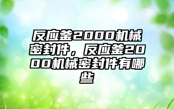 反應(yīng)釜2000機(jī)械密封件，反應(yīng)釜2000機(jī)械密封件有哪些