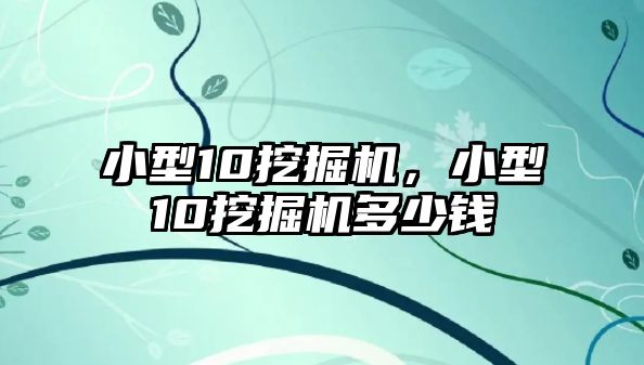 小型10挖掘機(jī)，小型10挖掘機(jī)多少錢