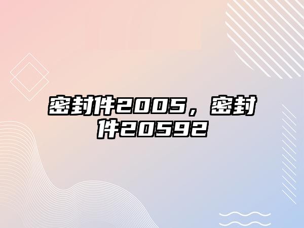 密封件2005，密封件20592