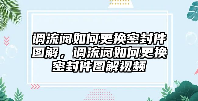 調(diào)流閥如何更換密封件圖解，調(diào)流閥如何更換密封件圖解視頻