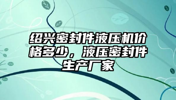 紹興密封件液壓機價格多少，液壓密封件生產廠家