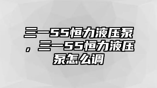 三一55恒力液壓泵，三一55恒力液壓泵怎么調(diào)