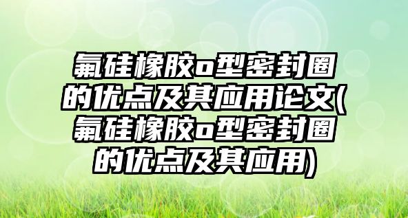 氟硅橡膠o型密封圈的優(yōu)點及其應用論文(氟硅橡膠o型密封圈的優(yōu)點及其應用)