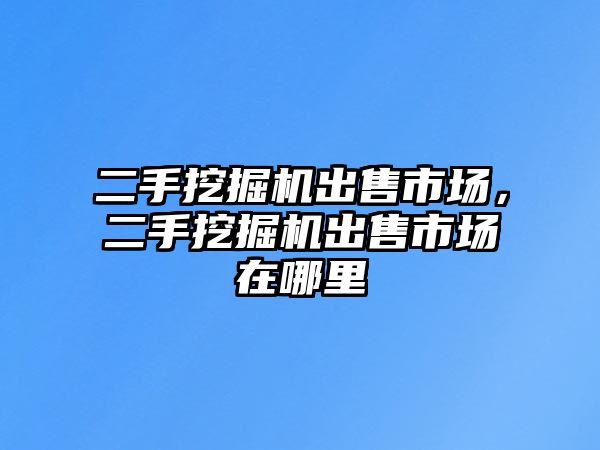 二手挖掘機出售市場，二手挖掘機出售市場在哪里