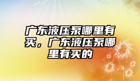 廣東液壓泵哪里有買，廣東液壓泵哪里有買的