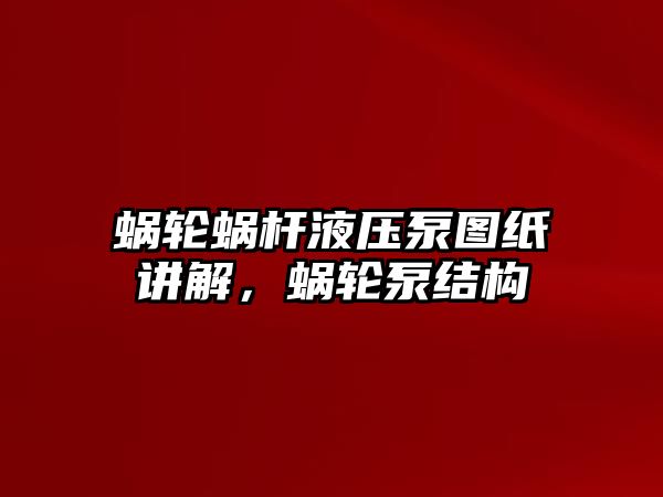 蝸輪蝸桿液壓泵圖紙講解，蝸輪泵結(jié)構(gòu)