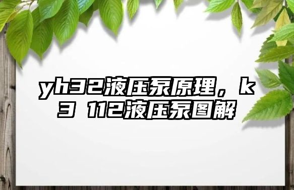 yh32液壓泵原理，k3ⅴ112液壓泵圖解