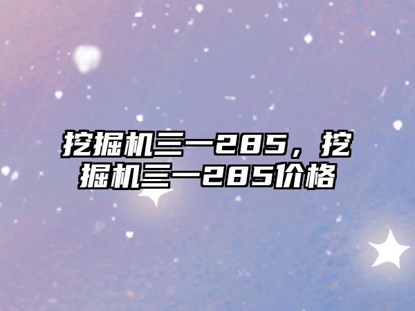 挖掘機(jī)三一285，挖掘機(jī)三一285價(jià)格