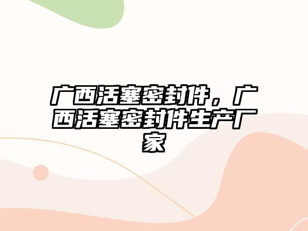 廣西活塞密封件，廣西活塞密封件生產(chǎn)廠家