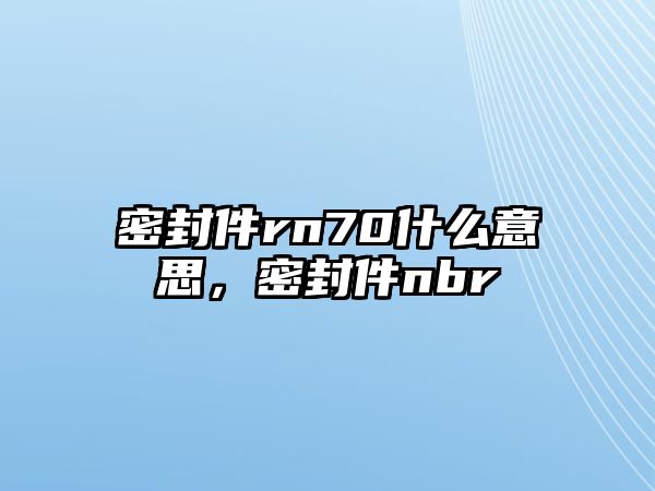 密封件rn70什么意思，密封件nbr