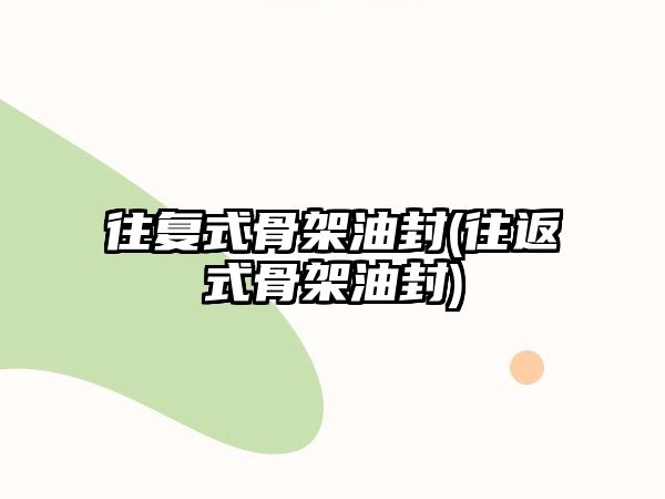 往復(fù)式骨架油封(往返式骨架油封)