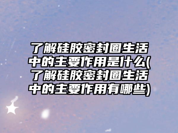 了解硅膠密封圈生活中的主要作用是什么(了解硅膠密封圈生活中的主要作用有哪些)