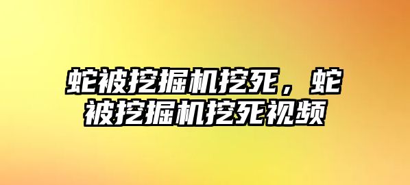 蛇被挖掘機(jī)挖死，蛇被挖掘機(jī)挖死視頻