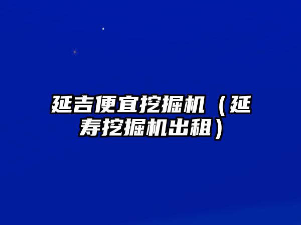 延吉便宜挖掘機（延壽挖掘機出租）