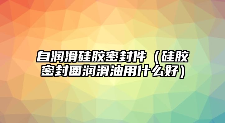 自潤滑硅膠密封件（硅膠密封圈潤滑油用什么好）