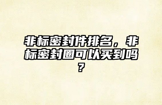 非標(biāo)密封件排名，非標(biāo)密封圈可以買到嗎?