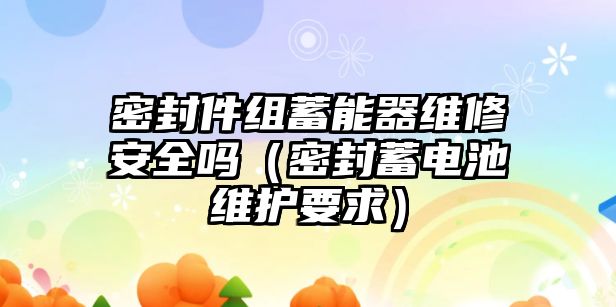 密封件組蓄能器維修安全嗎（密封蓄電池維護(hù)要求）