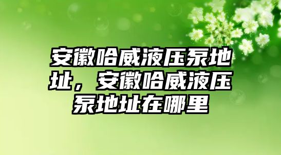 安徽哈威液壓泵地址，安徽哈威液壓泵地址在哪里