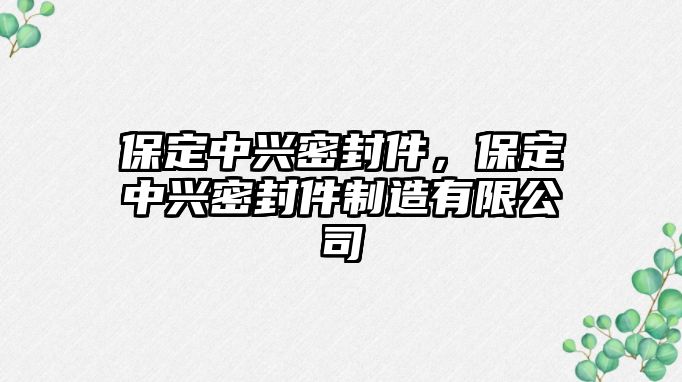 保定中興密封件，保定中興密封件制造有限公司