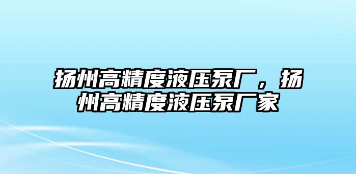 揚州高精度液壓泵廠，揚州高精度液壓泵廠家