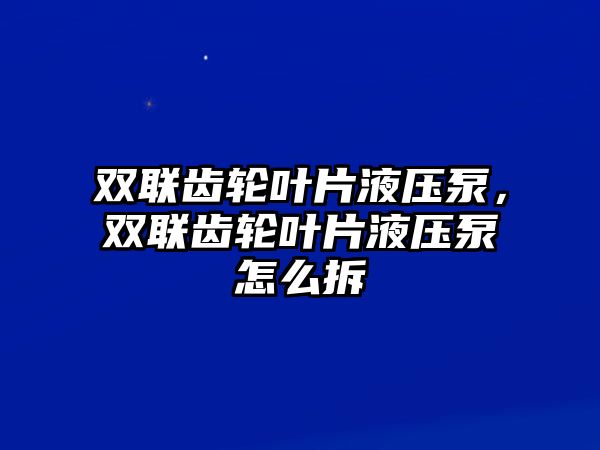 雙聯(lián)齒輪葉片液壓泵，雙聯(lián)齒輪葉片液壓泵怎么拆