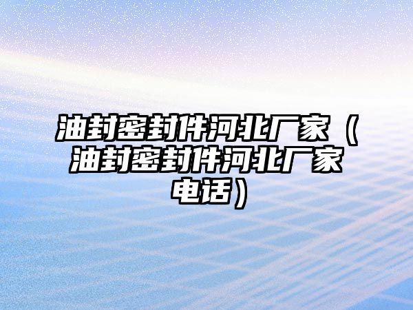 油封密封件河北廠家（油封密封件河北廠家電話）