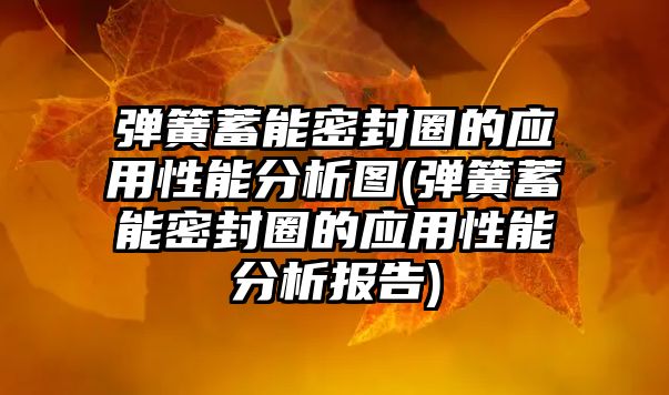 彈簧蓄能密封圈的應(yīng)用性能分析圖(彈簧蓄能密封圈的應(yīng)用性能分析報(bào)告)