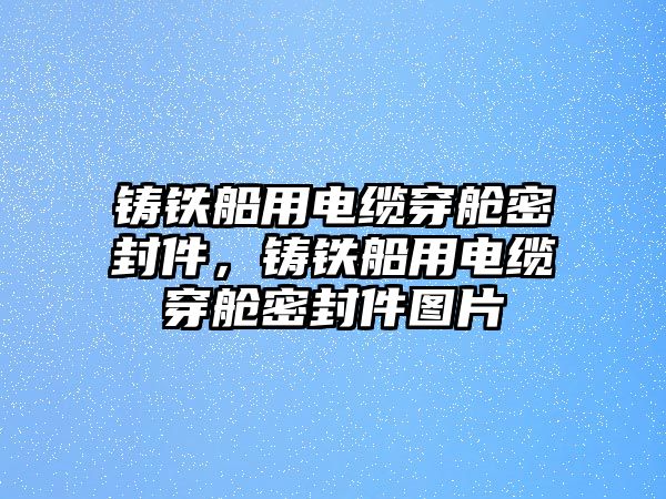 鑄鐵船用電纜穿艙密封件，鑄鐵船用電纜穿艙密封件圖片