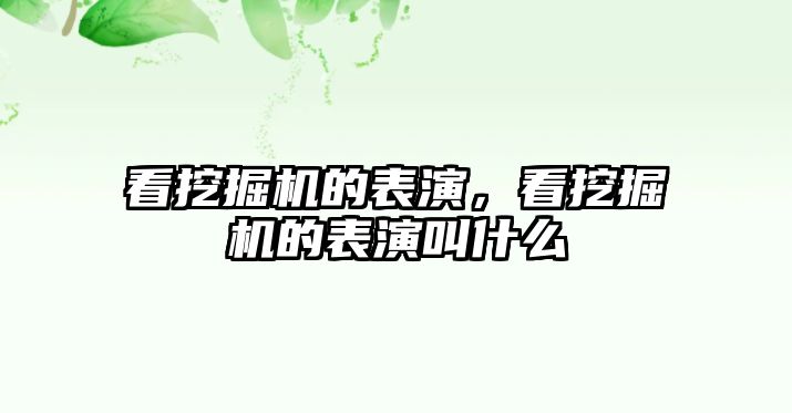 看挖掘機的表演，看挖掘機的表演叫什么