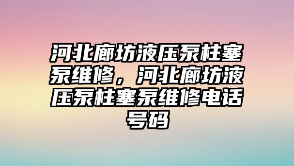 河北廊坊液壓泵柱塞泵維修，河北廊坊液壓泵柱塞泵維修電話號(hào)碼