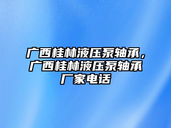 廣西桂林液壓泵軸承，廣西桂林液壓泵軸承廠家電話