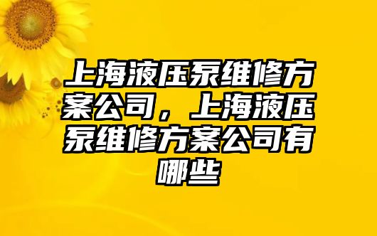 上海液壓泵維修方案公司，上海液壓泵維修方案公司有哪些