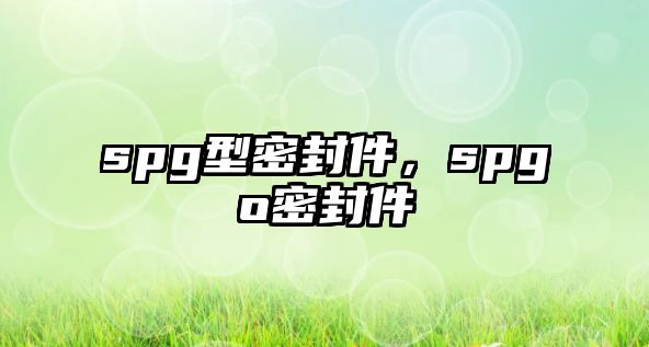 spg型密封件，spgo密封件