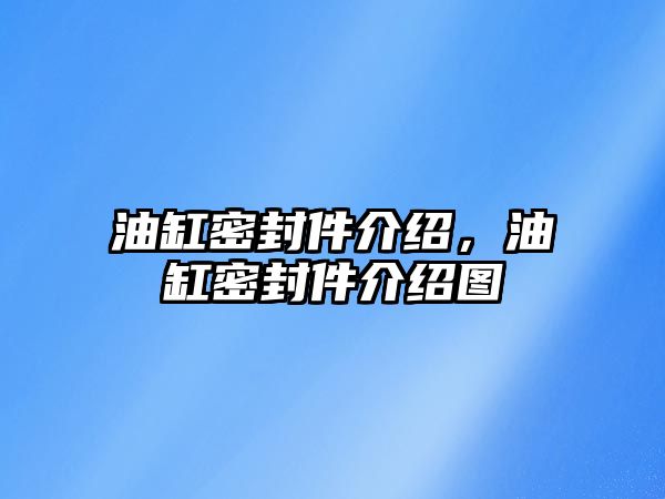 油缸密封件介紹，油缸密封件介紹圖