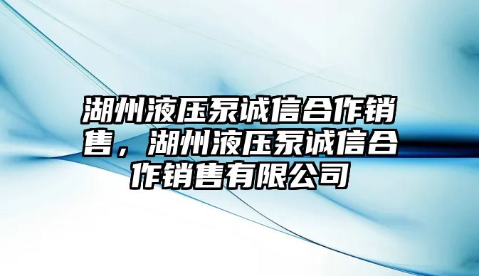 湖州液壓泵誠信合作銷售，湖州液壓泵誠信合作銷售有限公司