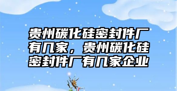 貴州碳化硅密封件廠有幾家，貴州碳化硅密封件廠有幾家企業(yè)