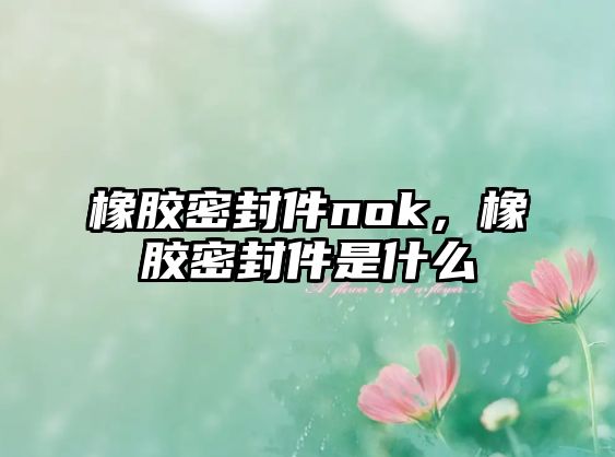 橡膠密封件nok，橡膠密封件是什么