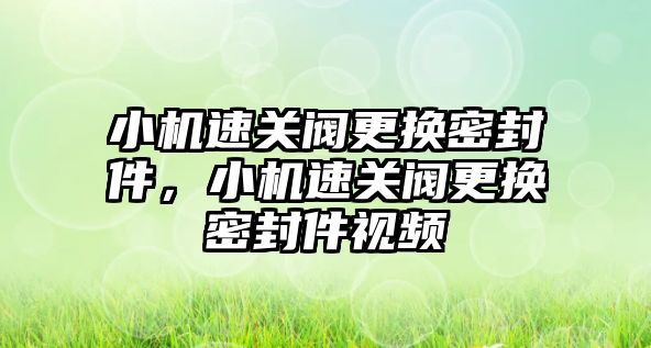 小機速關(guān)閥更換密封件，小機速關(guān)閥更換密封件視頻