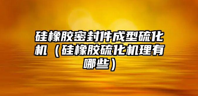 硅橡膠密封件成型硫化機（硅橡膠硫化機理有哪些）