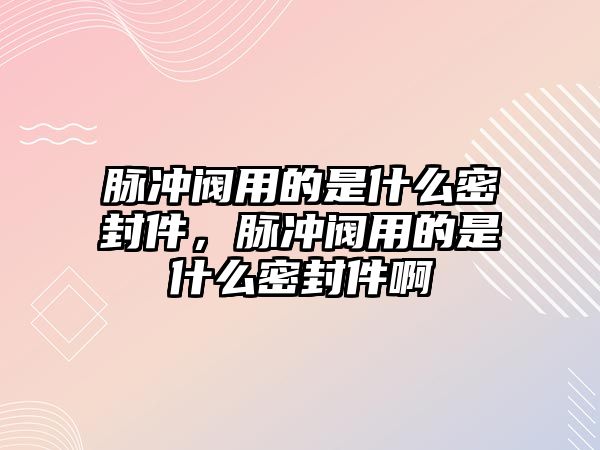 脈沖閥用的是什么密封件，脈沖閥用的是什么密封件啊