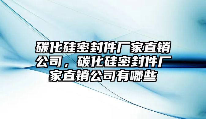 碳化硅密封件廠家直銷公司，碳化硅密封件廠家直銷公司有哪些