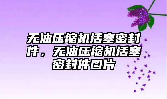 無油壓縮機活塞密封件，無油壓縮機活塞密封件圖片