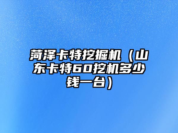 菏澤卡特挖掘機(jī)（山東卡特60挖機(jī)多少錢一臺(tái)）