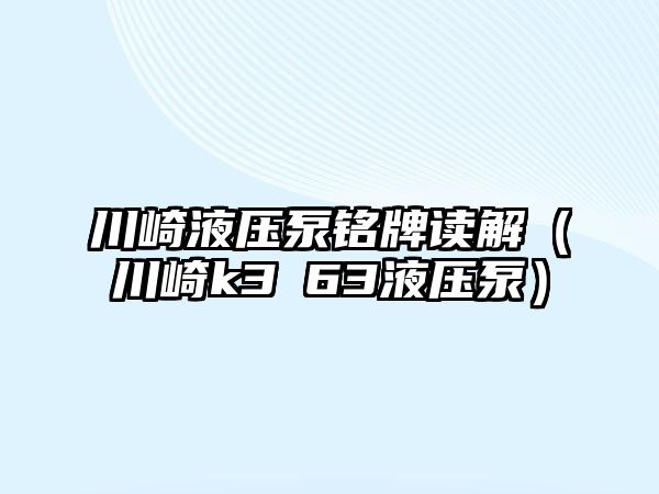 川崎液壓泵銘牌讀解（川崎k3ⅴ63液壓泵）