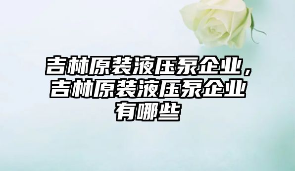 吉林原裝液壓泵企業(yè)，吉林原裝液壓泵企業(yè)有哪些